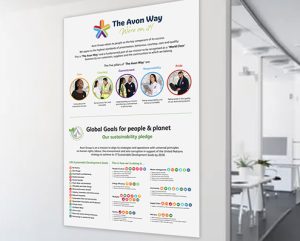 UN Pillars Graphic showing global goals for people and planet